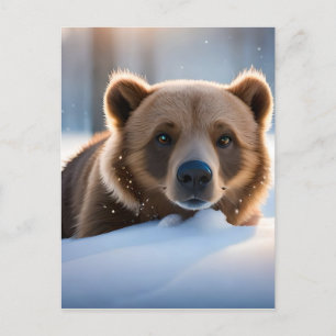Brown Bear & Nature Wall Art  Postcard