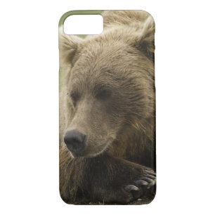 Brown bear, or Coastal Grizzly Bear, Ursus iPhone 8/7 Case