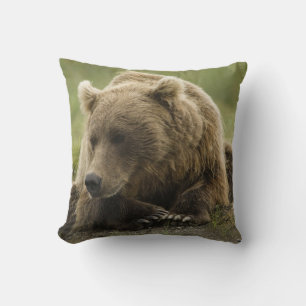Brown bear, or Coastal Grizzly Bear, Ursus Cushion