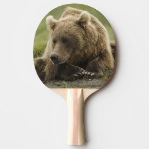 Brown bear, or Coastal Grizzly Bear, Ursus Ping Pong Paddle