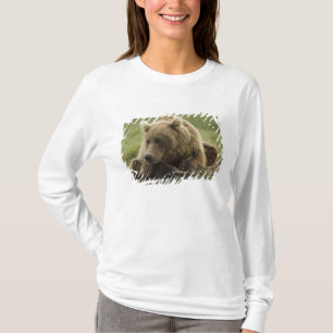 Brown bear, or Coastal Grizzly Bear, Ursus T-Shirt