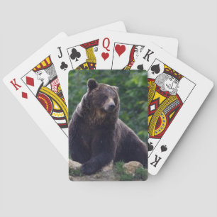 Brown bear playing cards