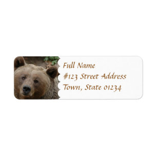 Brown Bear Return Address Label