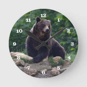 Brown bear round clock