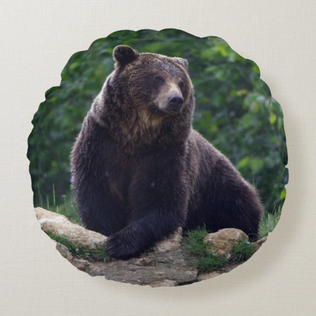 Brown bear round cushion (Front)