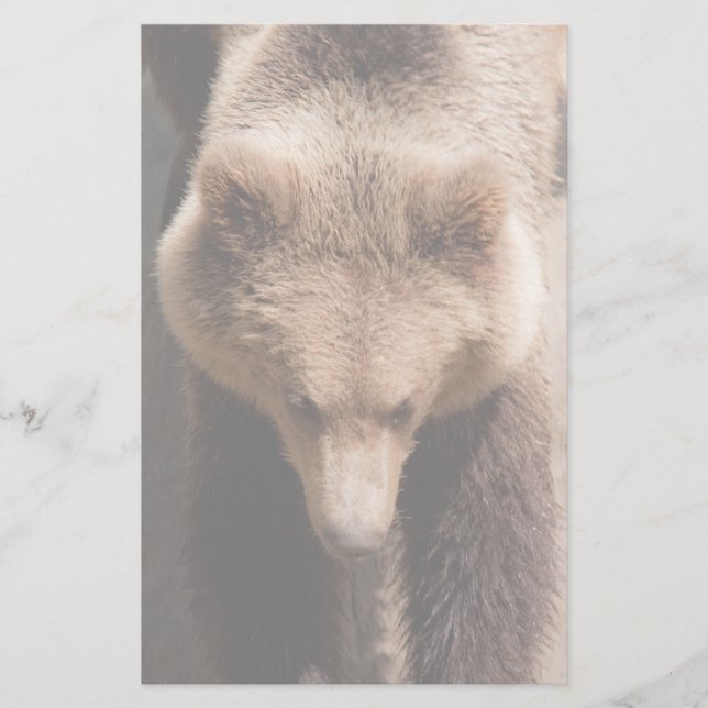 Brown bear stationery (Front)