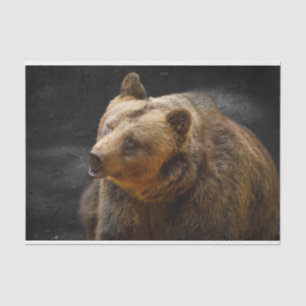 Brown Bear Tissue Paper