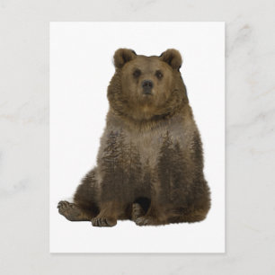 Brown Bear Trees  Double Exposure Postcard