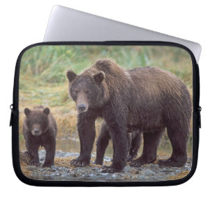 brown bear, Ursus arctos, grizzly bear, Ursus 3 Laptop Sleeve
