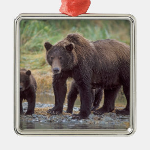 brown bear, Ursus arctos, grizzly bear, Ursus 3 Metal Tree Decoration