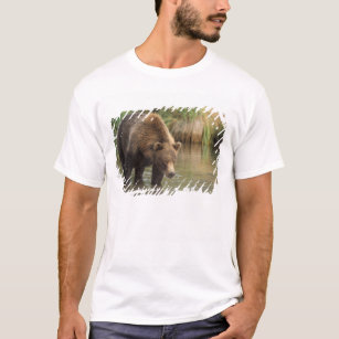 brown bear, Ursus arctos, grizzly bear, Ursus 3 T-Shirt