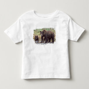 brown bear, Ursus arctos, grizzly bear, Ursus 3 Toddler T-Shirt