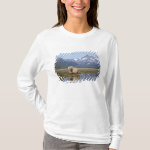 brown bear, Ursus arctos, grizzly bear, Ursus 4 T-Shirt