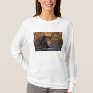 brown bear, Ursus arctos, grizzly bear, Ursus 5 T-Shirt