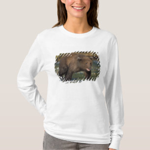 brown bear, Ursus arctos, grizzly bear, Ursus 6 T-Shirt
