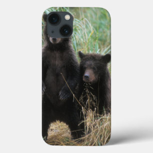 brown bear, Ursus arctos, grizzly bear, Ursus 7 2 iPhone 13 Case