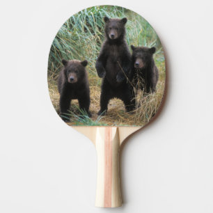 brown bear, Ursus arctos, grizzly bear, Ursus 7 2 Ping Pong Paddle