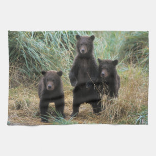 brown bear, Ursus arctos, grizzly bear, Ursus 7 2 Tea Towel