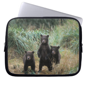brown bear, Ursus arctos, grizzly bear, Ursus 7 Laptop Sleeve