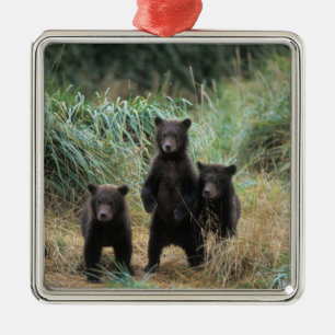 brown bear, Ursus arctos, grizzly bear, Ursus 7 Metal Tree Decoration