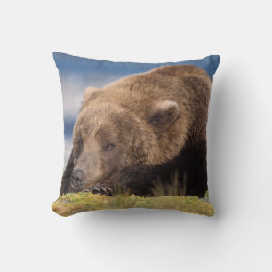 brown bear, Ursus arctos, grizzly bear, Ursus 8 Cushion