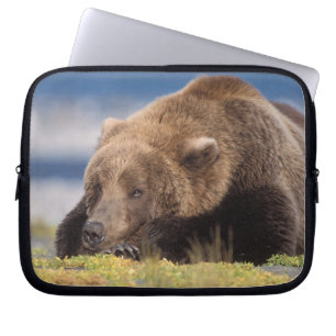 brown bear, Ursus arctos, grizzly bear, Ursus 8 Laptop Sleeve