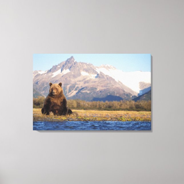 brown bear, Ursus arctos, grizzly bear, Ursus Canvas Print (Front)