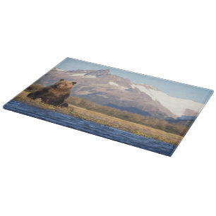 brown bear, Ursus arctos, grizzly bear, Ursus Cutting Board
