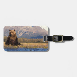 brown bear, Ursus arctos, grizzly bear, Ursus Luggage Tag