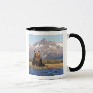 brown bear, Ursus arctos, grizzly bear, Ursus Mug