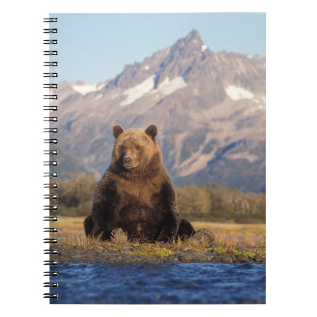 brown bear, Ursus arctos, grizzly bear, Ursus Notebook (Front)