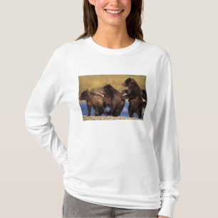 brown bear, Ursus arctos, grizzly bear, Ursus T-Shirt