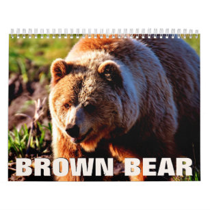 Brown Bear Wall Calendar