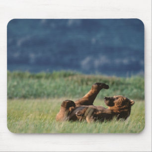 Brown Bears at play, Ursus arctos, Alaska Mouse Mat