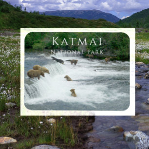Brown Bears Fishing Katmai National Park Magnet