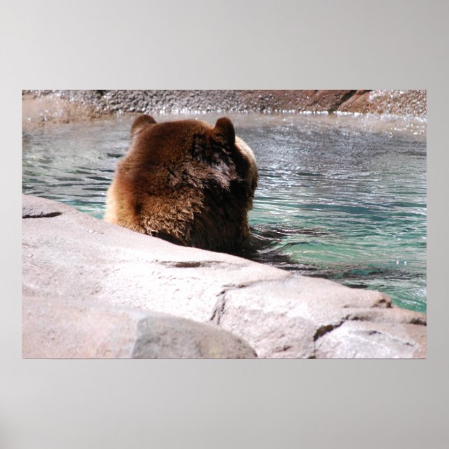 Brown Bears Poster (Front)