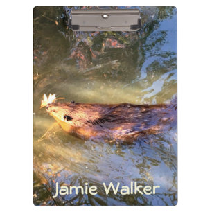 Brown Beaver Swimming Clipboard