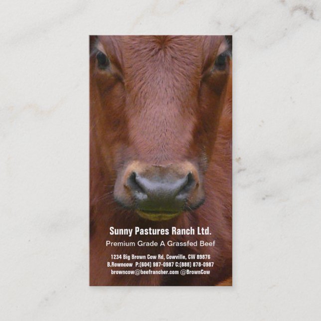 Brown Beef Steer Business Card (Front)