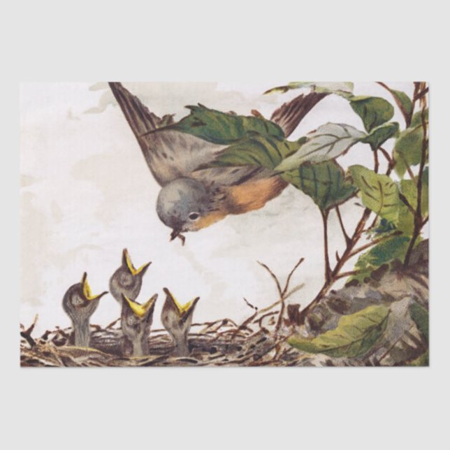 Brown Bird and Nest Decoupage Set Robin 4 of 4 Tissue Paper (Front)