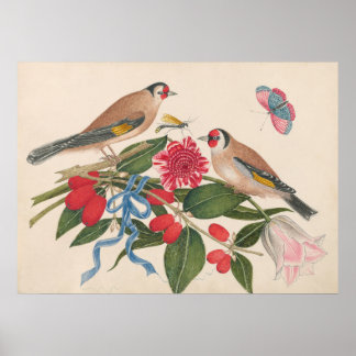Brown birds with flowers and butterfly poster