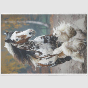 Brown Black Clydesdale Horse Decoupage Tissue Paper