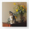 Brown black Tabby cat Sitting on piano flowers