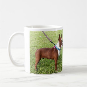 Brown Boston Terrier Mug