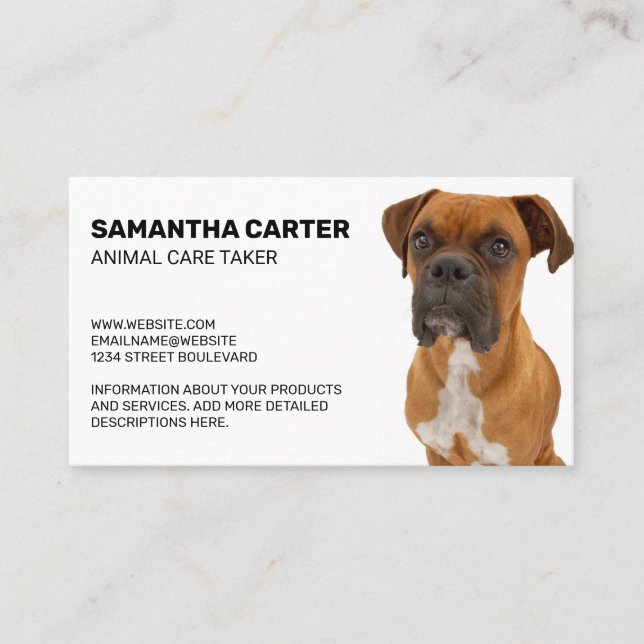 Brown Boxer Dog Sitting Business Card (Front)