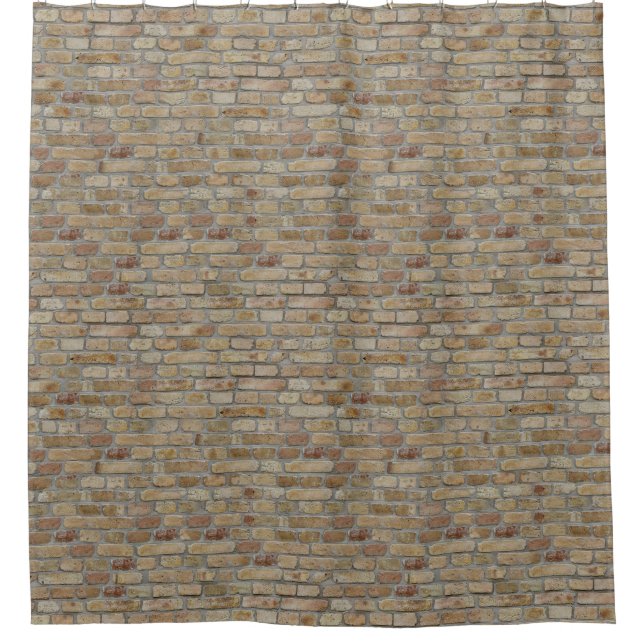 Brown Brick Wall A Novelty Design  Shower Curtain (Front)