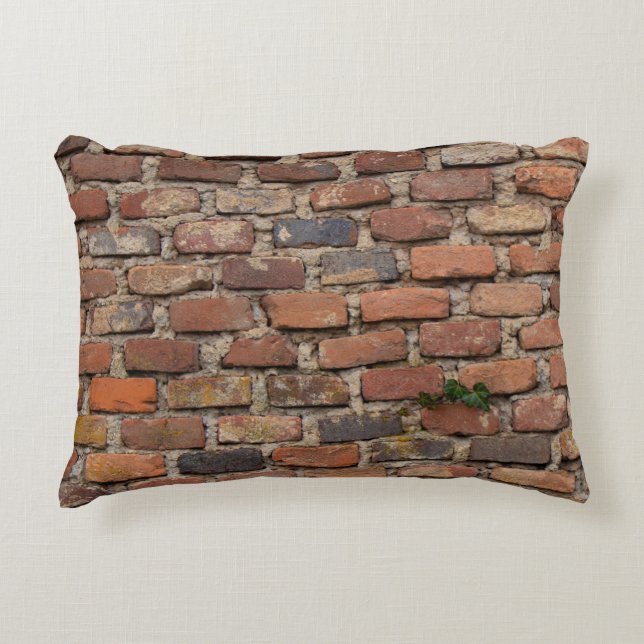 Brown brick wall decorative cushion (Front)