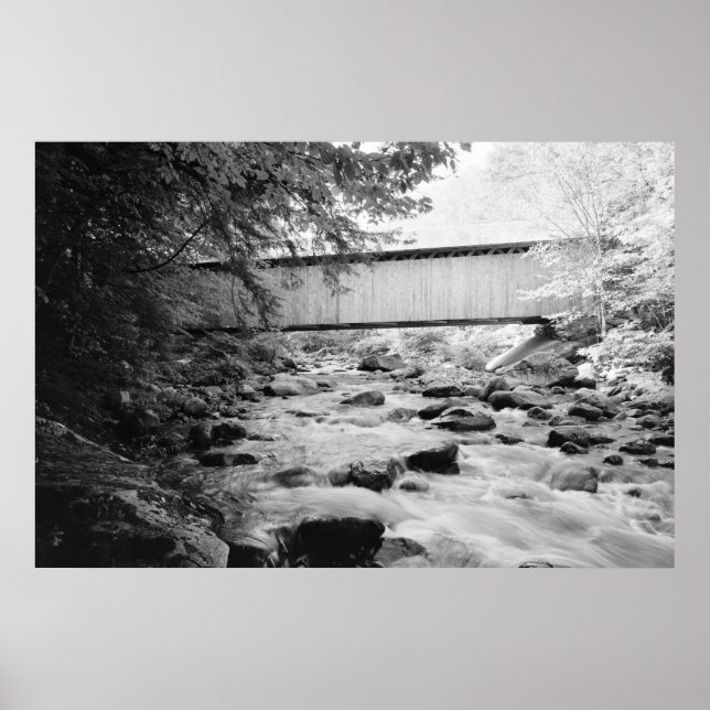 Brown Bridge Poster (Front)