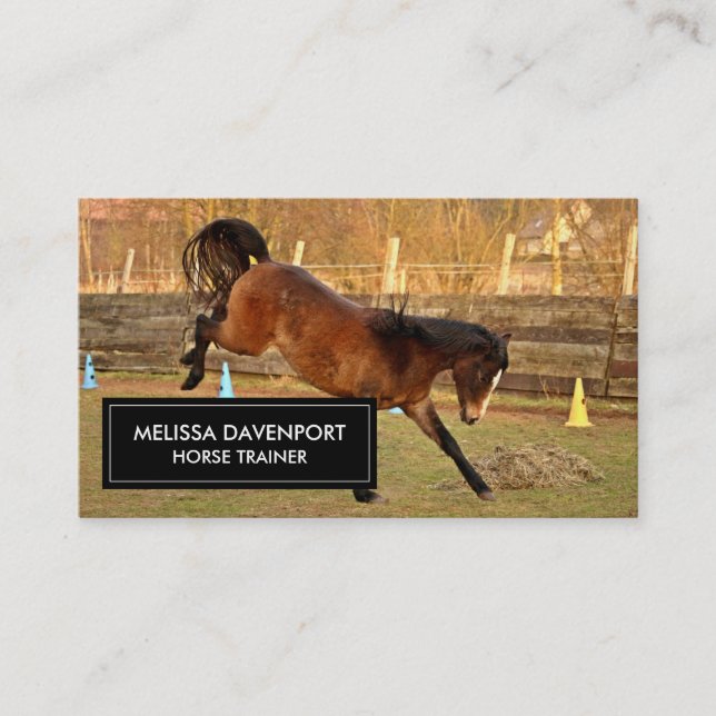 Brown Bucking Horse Photograph Playful and Wild Business Card (Front)