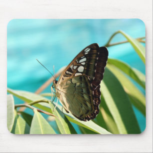 Brown Butterfly Closed Wings Mouse Mat