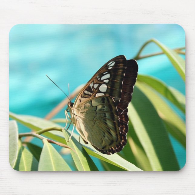 Brown Butterfly Closed Wings Mouse Mat (Front)